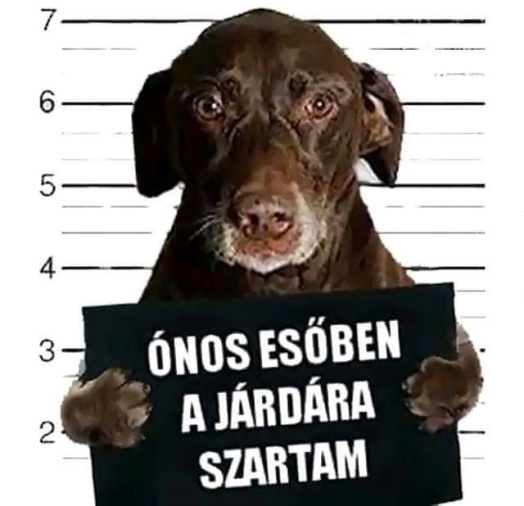 Cézárt rabosították