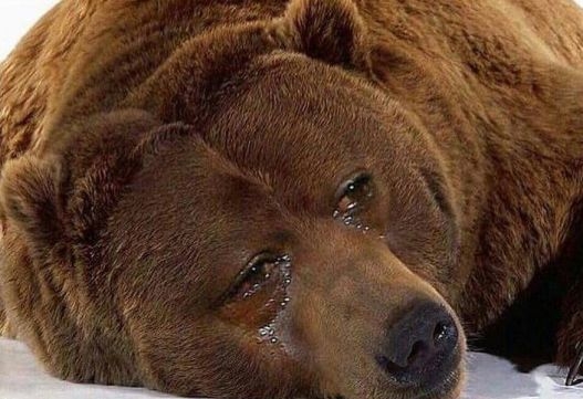 Amikor számolgatod, hogy...