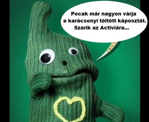 Napiszar - életmód rovat