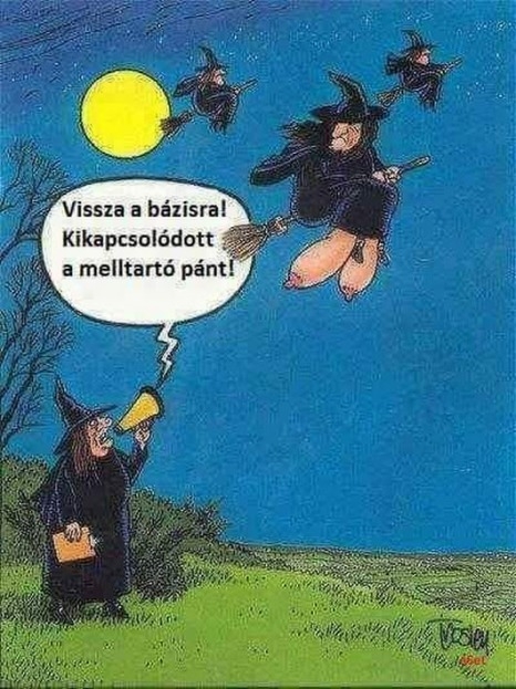 Túl nagy volt a sebesség