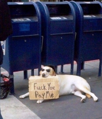 Röviden, tömören...