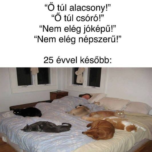 Erre figyelj oda, királylány :P