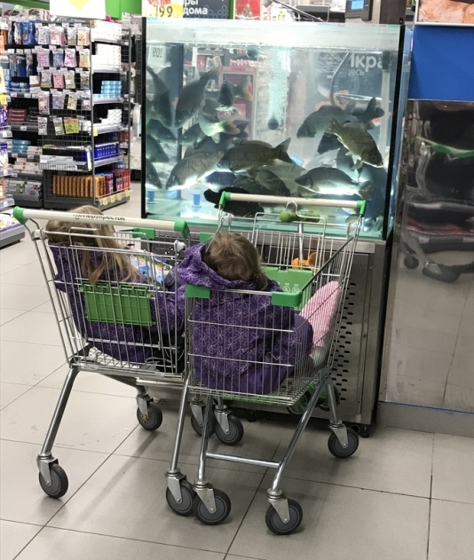 Ha a gyerekek nélkül akarsz bevásárolni...