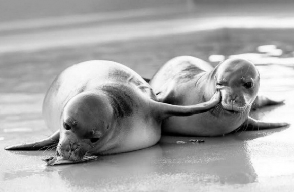 Drágám ma este ne...