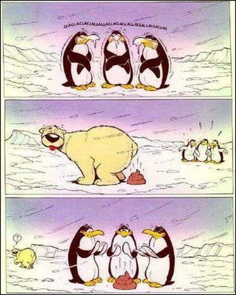 Lehűlt az idő megint...