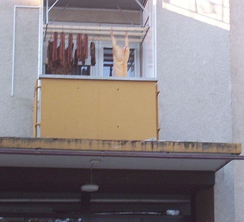 Amikor beköltözöl egy városi panelba, de...