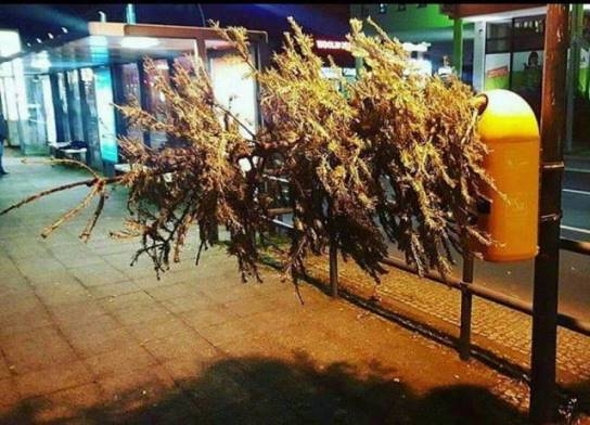 Vízkereszt vagy amit akartok