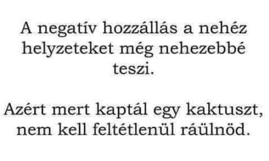 Bölcs gondolat - Érdemes megfogadni