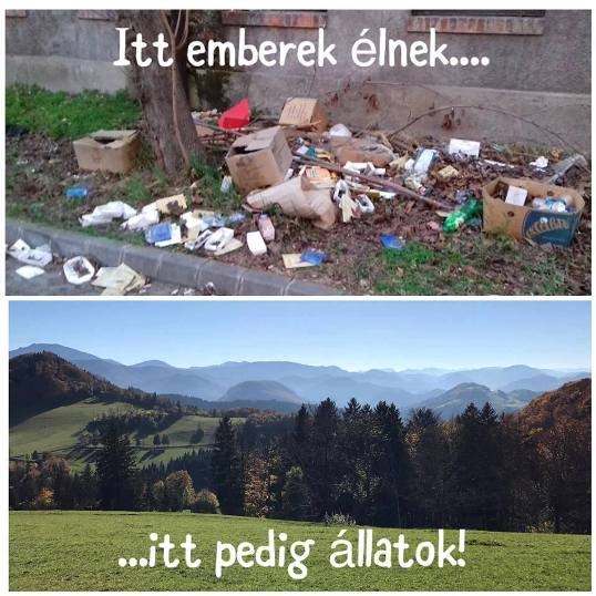 Kérjük viselkedjen állat módjára