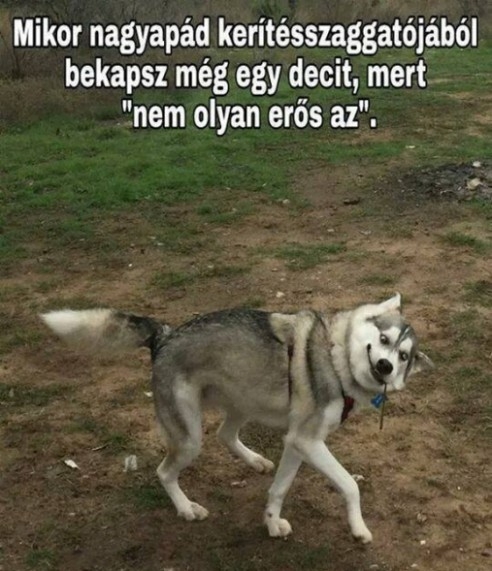 Nem olyan erős az...