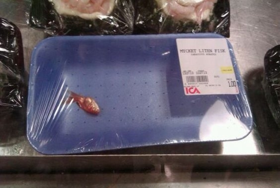 Gondoltak a kispénzű nyugdíjasokra is