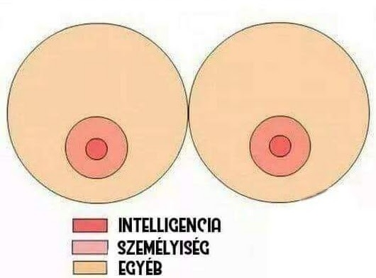 Mit néz meg elsőre, egy pasi a nőn?