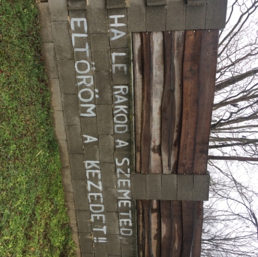 Amikor felszínre tör a költői véna 