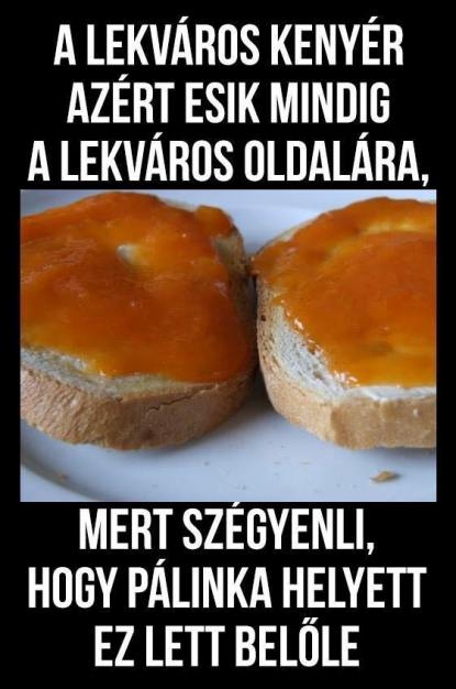 Napi tényfeltáró