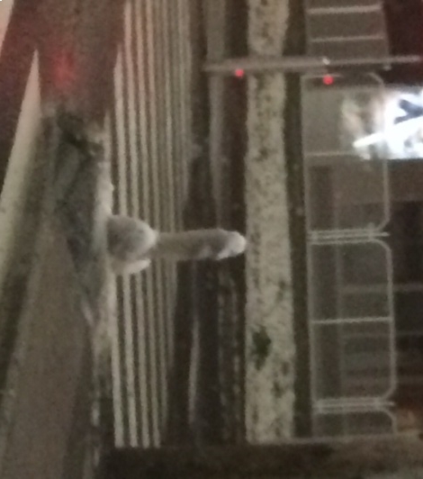 Ma is többfelé havazott az országban