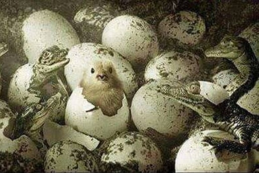 Ráfaragott szegény