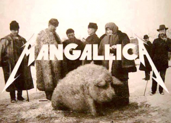 Mangalica 