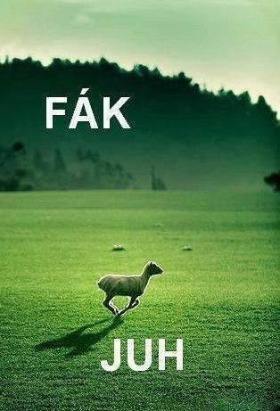 Még csak szerda