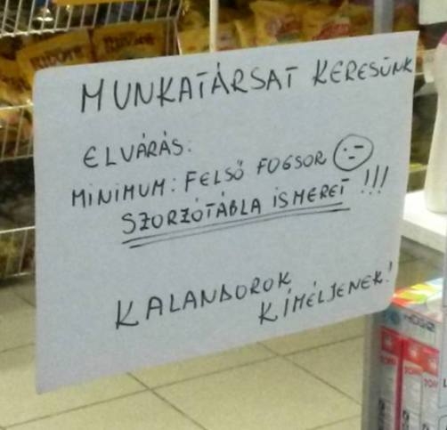 Napiszar állásajánlat