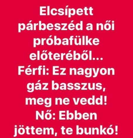 Egy elcsípett beszélgetés