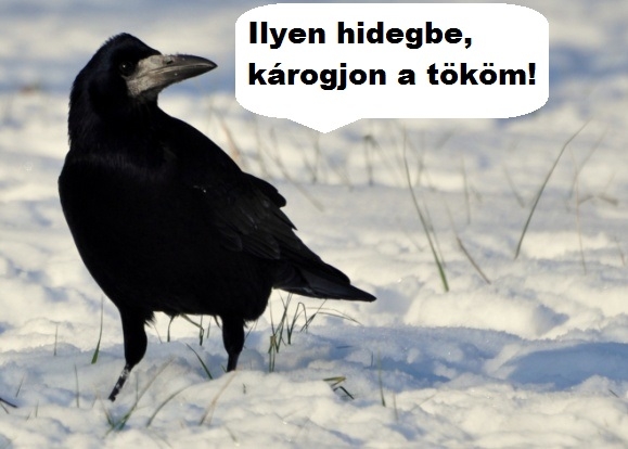 Ezt már ő sem szereti...