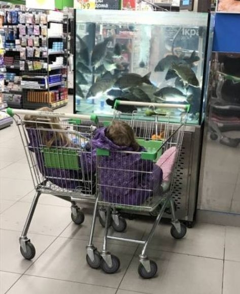 Itt ellesznek egy darabig