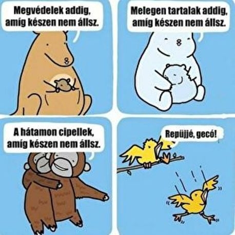 A csodálatos állatvilág