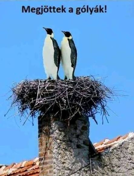 A tavasz egyértelmű jele