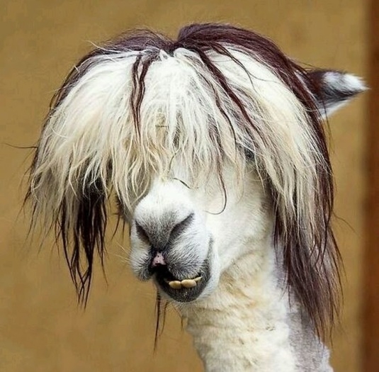 Napasztmek a hajam is milyen...