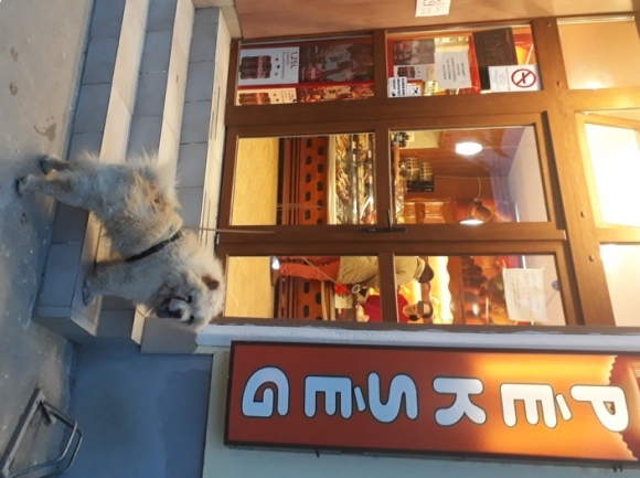 A hosszú kutyapóráz előnye