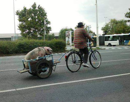 Tegnap Szolnokon látták a szállítót