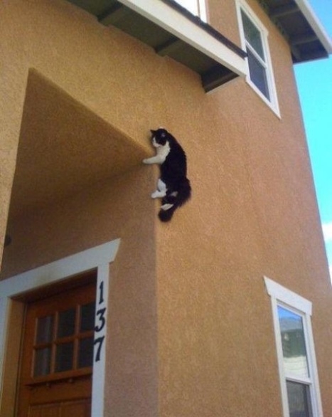 Mikor nem nyitsz ajtót a jehováknak...