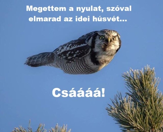 Bizarr hír érkezett