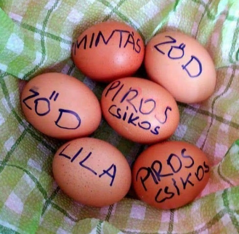 Megkértem a férjemet, hogy intézze el a tojásfestést