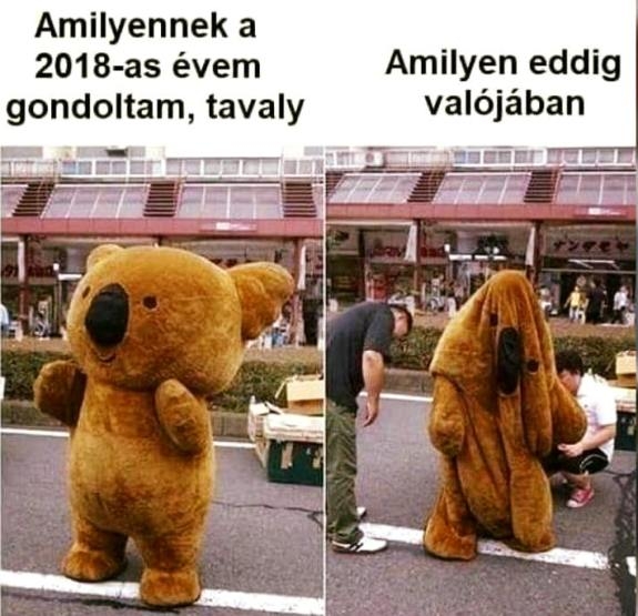 Nyugi, lesz még rosszabb