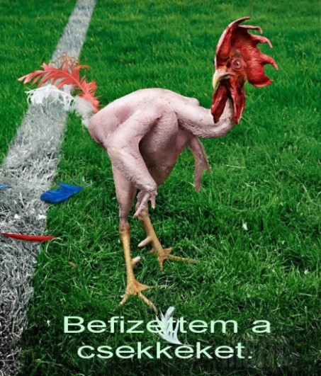 Többeknek ismerős lehet 🙁