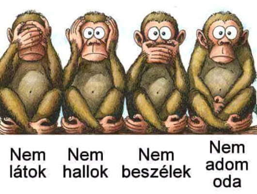 Irigy majom :P