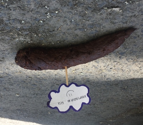 Kispolgári csökevény