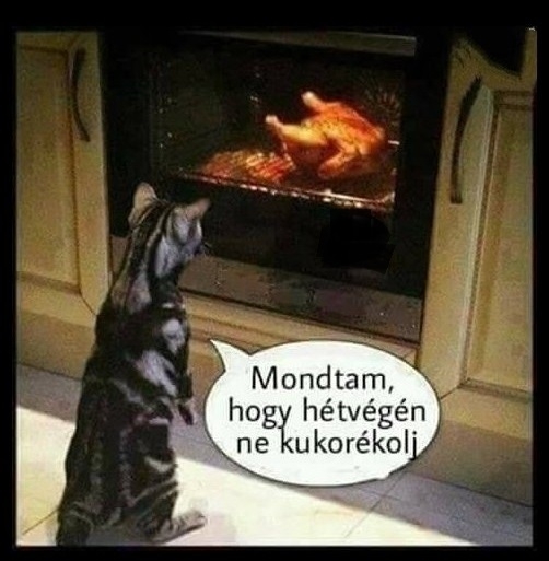 Nem hallgatott a szép szóra