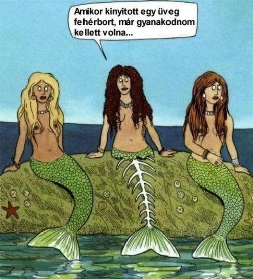 Ráfaragott a sellőlány