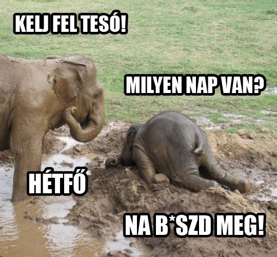 Nehezen indul a hét