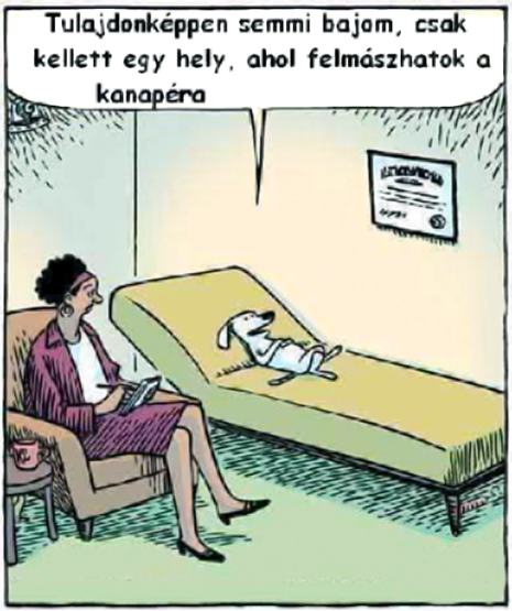 Pszichiáternél...