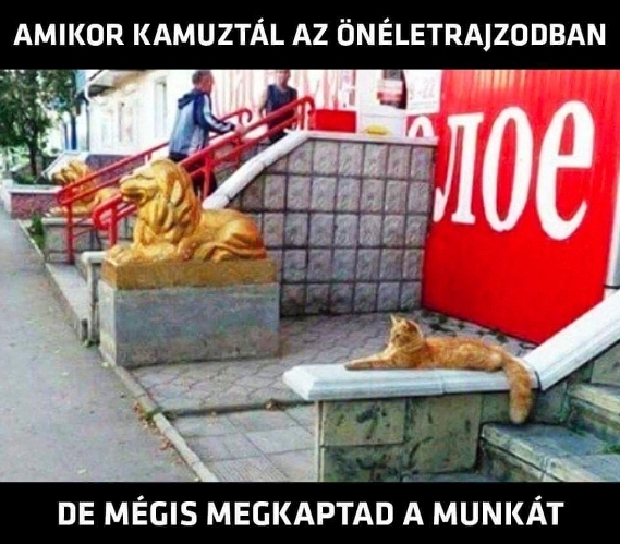 Induljon jól a reggel!