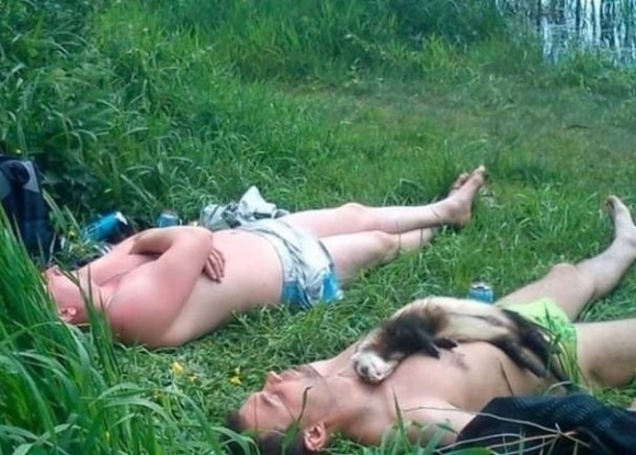 Kidőlt az egész csapat