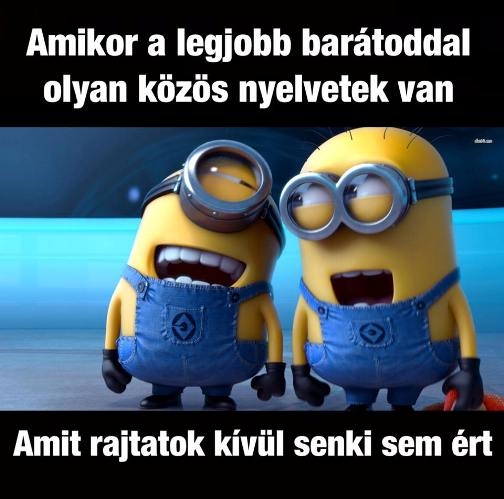 Neked is van ilyen haverod?