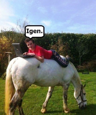 Szia, telóról netezel?