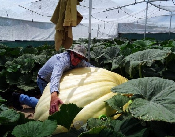 Az időjárásnak hála, idén f@sza lett a termés