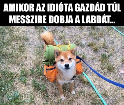 Mindenre fel kell készülni...