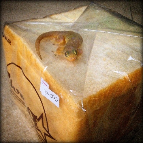 Reggeli szendvicsnek való