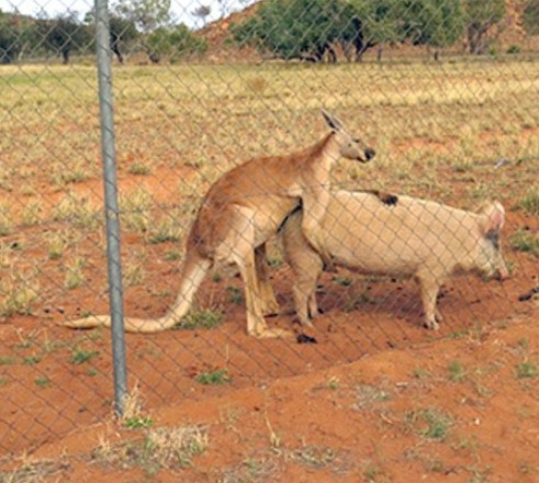 Ebben a nagy melegben, már azt sem nézzük,